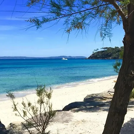Superbe Climatisé Avec Wifi Classé 3 étoiles à 50 M De La Appartement *