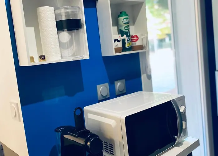 Superbe Climatise Avec Wifi Classe 3 Etoiles A 50 M De La *